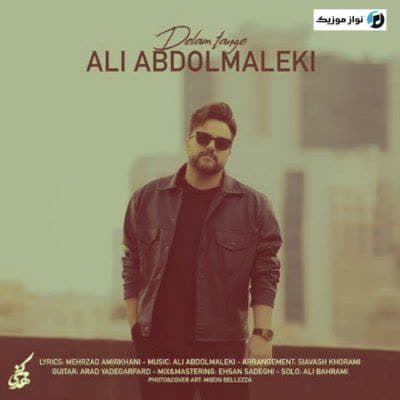 دانلود آهنگ غمگین من دلم تنگه برا تو علی عبدالمالکی