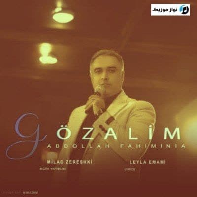 دانلود آهنگ ترکی سن گوزلسن گوزلیم منه گلرسن گوزلیم عبداله فهیمی نیا دانلود آهنگ ترکی سن گوزلسن گوزلیم منه گلرسن گوزلیم عبداله فهیمی نیا