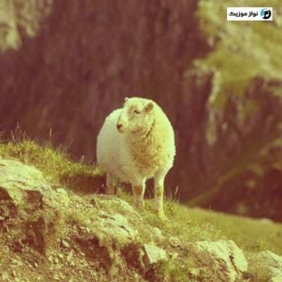 دانلود آهنگ ترکی داغ باشیندا گوزو وار آهو کیمین گوزو وار