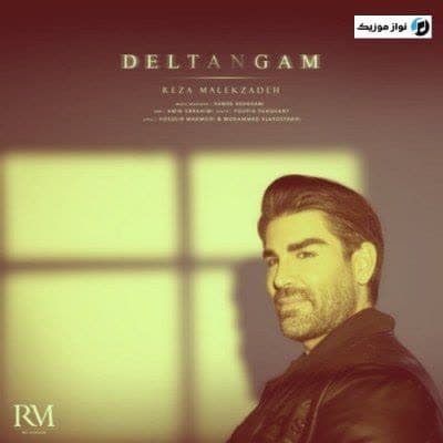 دانلود آهنگ غمگین گیتار دلتنگم تو این شبای بی ستاره رضا ملک زاده