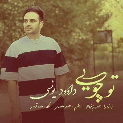 دانلود آهنگ کرمانجی تو چویی داوود یونسی دانلود آهنگ کرمانجی تو چویی داوود یونسی