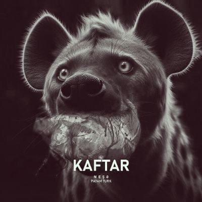دانلود آهنگ آذری کفتار پیام تورک (کافتار) دانلود آهنگ آذری کفتار پیام تورک (کافتار)