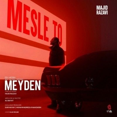 دانلود ریمیکس مثل تو مجید رضوی و دیجی میدن (منم شدم مثل تو مثل تو منو کی بلده)