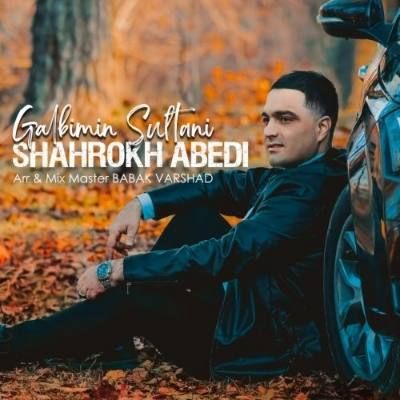 دانلود آهنگ ترکی قلبیمین سلطانی شاهرخ عابدی (سن منیم دنیامسان سوگیلیم رویامسان) دانلود آهنگ ترکی قلبیمین سلطانی شاهرخ عابدی (سن منیم دنیامسان سوگیلیم رویامسان)