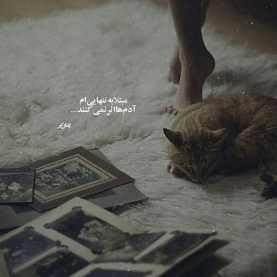 دانلود آهنگ ترکی محبت سازینی اورییم چالیر گولنده گولوشون دیجی هیجران ریمیکس دانلود آهنگ ترکی محبت سازینی اورییم چالیر گولنده گولوشون دیجی هیجران ریمیکس