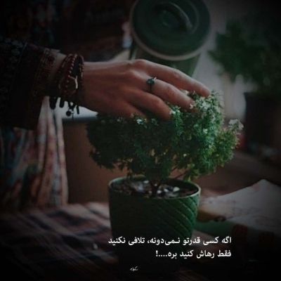 دانلود آهنگ جلمان دلال دلال دلالیم Delal Delal Delalim دانلود آهنگ جلمان دلال دلال دلالیم Delal Delal Delalim