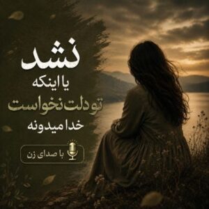 دانلود آهنگ نشد یا اینکه تو دلت نخواست خدا میدونه با صدای زن
